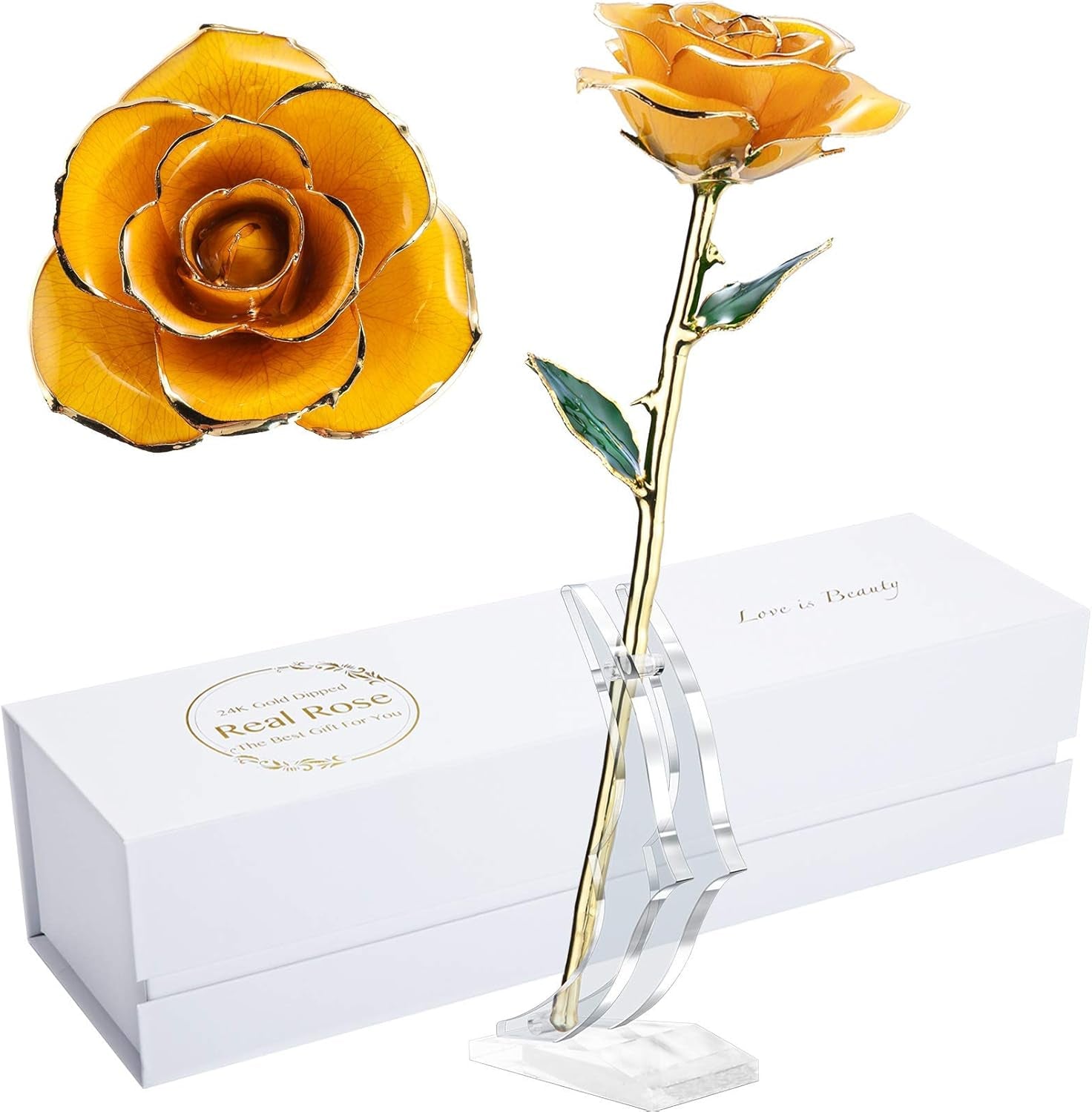 Birthday Rose Gift for Her,24K Golden Real Fresh Long Stem Rose and Best Birthday Gift for Her Rose,Blue with Stand